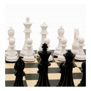 Dal Rossi Italy Chess Pieces: Black and White