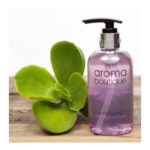 Aroma Boutique Hand Wash: Lavender & Mint, 250ml