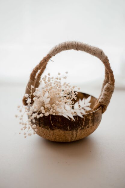 QToys: Coconut Basket - Image 2