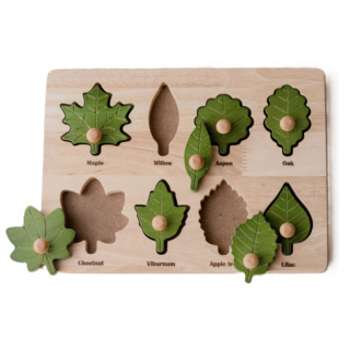 QToys: Montessori Leaf Puzzle