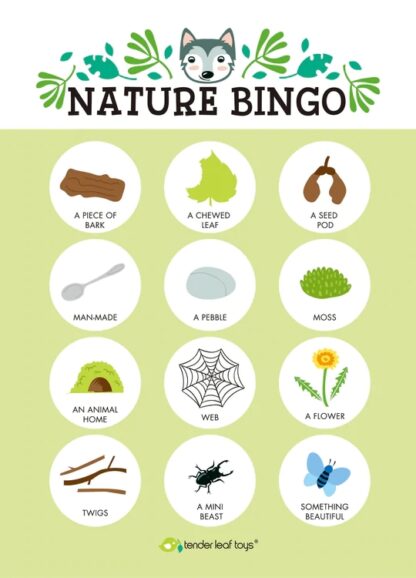 Tender Leaf Toys: Forest Trail Kit - Image 4