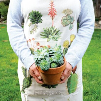 Cavallini & Co Vintage Apron: Succulents - Image 2