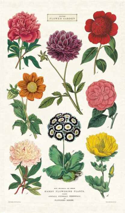Cavallini & Co Vintage Tea Towel: Botanica - Image 3