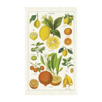 Cavallini & Co Vintage Tea Towel: Citrus