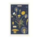 Cavallini & Co Vintage Tea Towel: Dandelion