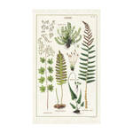 Cavallini & Co Vintage Tea Towel: Fern