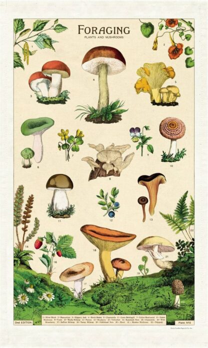 Cavallini & Co Vintage Tea Towel: Foraging Garden - Image 2