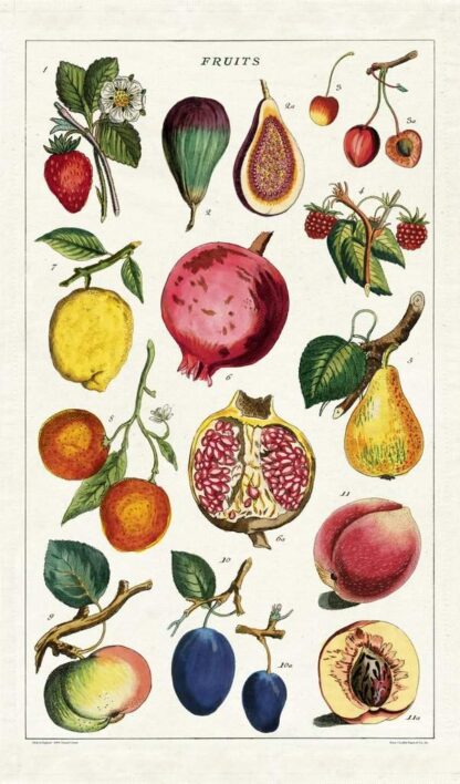 Cavallini & Co Vintage Tea Towel: Fruits - Image 2