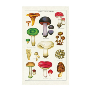 Cavallini & Co Vintage Tea Towel: Mushrooms