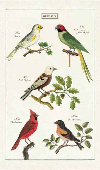 Cavallini & Co Vintage Tea Towel: Birds - Image 3