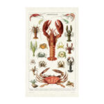 Cavallini & Co Vintage Tea Towel: Crustaceans