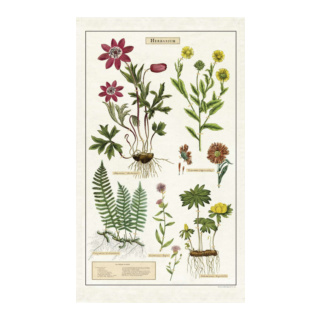 Cavallini & Co Vintage Tea Towel: Herbarium
