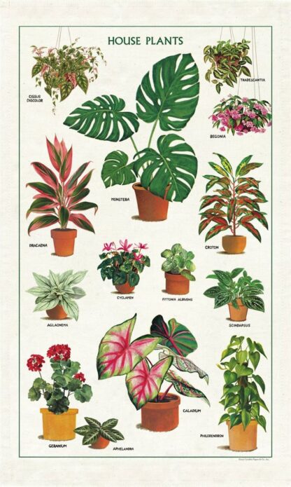 Cavallini & Co Vintage Tea Towel: House Plants - Image 2
