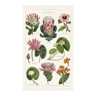 Cavallini & Co Vintage Tea Towel: Tropical Plants
