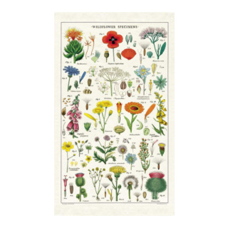 Cavallini & Co Vintage Tea Towel: Wildflowers