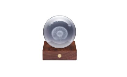 Gingko 3D Laser Engraved LED Light, Walnut Dandelion - Image 5