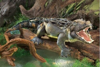 Folkmanis Puppet: American Alligator - Image 5