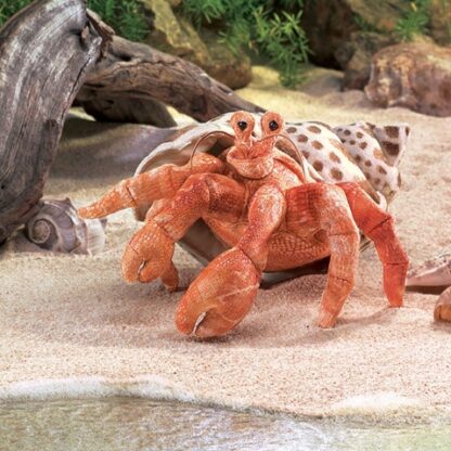 Folkmanis Puppet: Hermit Crab - Image 4