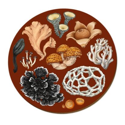 Wolfkamp & Stone Placemats, NZ Fungi Phellodon, Set of 4 - Image 3