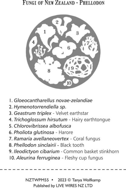 Wolfkamp & Stone Placemats, NZ Fungi Phellodon, Set of 4 - Image 2