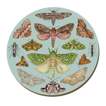 Wolfkamp & Stone Placemats, NZ Moths, Set of 4 - Image 2