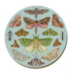 Wolfkamp & Stone Placemats, NZ Moths, Set of 6