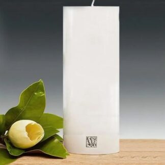Waxglo Unscented Cylinder Candle, 100x460mm, White
