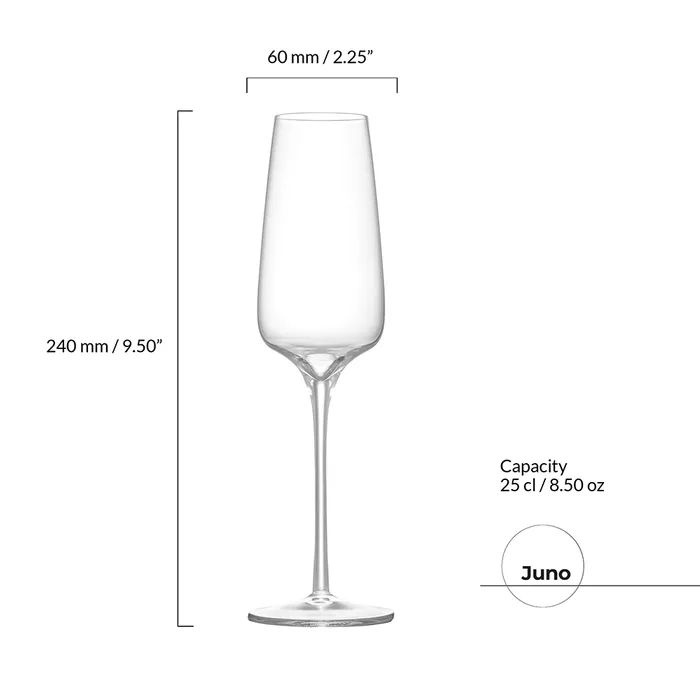 Anton Studio Juno Champagne Flutes, Set of 2 - Image 3