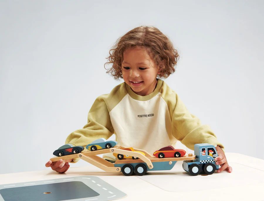 Tender Leaf Toys: Car Transporter - Image 3