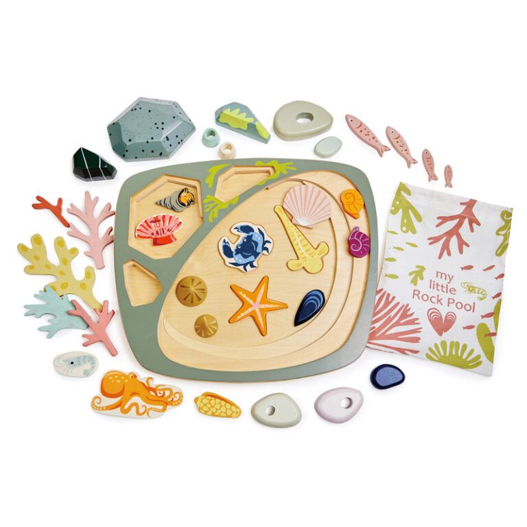 Tender Leaf Toys: My Little Rock Pool - Image 7